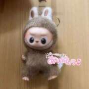 ヒメ日記 2025/12/13 14:50 投稿 ねね 人妻熟女奉仕倶楽部