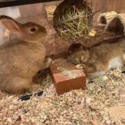 ヒメ日記 2025/12/18 02:20 投稿 ねね 人妻熟女奉仕倶楽部