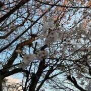 ヒメ日記 2026/04/03 22:56 投稿 坂下 める Canx2神戸店