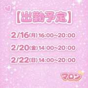 ヒメ日記 2026/02/14 11:39 投稿 マロン プラチナ