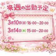 ヒメ日記 2026/03/07 12:00 投稿 マロン プラチナ