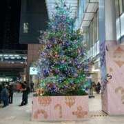 ヒメ日記 2025/11/26 17:20 投稿 池永 錦糸町おかあさん