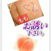 ヒメ日記 2025/12/05 08:20 投稿 池永 錦糸町おかあさん