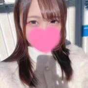 ヒメ日記 2025/12/09 11:00 投稿 かのん セグレターリオ