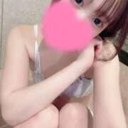 ヒメ日記 2026/02/28 12:04 投稿 かのん セグレターリオ