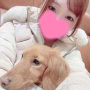 ヒメ日記 2026/04/15 11:01 投稿 かのん セグレターリオ