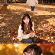 ヒメ日記 2025/11/11 15:50 投稿 千葉ゆま 月の真珠-五反田-