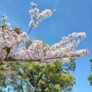 月野七菜子 こんばんは♪ 五十路マダム愛されたい熟女たち岡山店（カサブランカグループ）