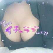 ヒメ日記 2025/12/03 09:08 投稿 ☆きらら☆ ◆プラウディア◆AAA級素人娘在籍店