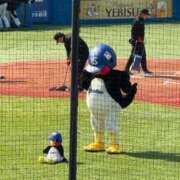 ことり（ダーリング） 🐥11月4日(火) Yシャツと私