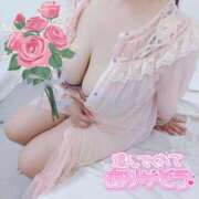 もね 💕昨日のお礼💕 ぽっちゃり巨乳専門木更津君津ちゃんこin千葉