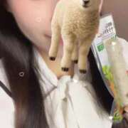 ヒメ日記 2025/11/06 16:33 投稿 ほむら 川越ぷよステーション