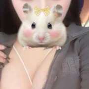 ほむら ((꜆꜄•௰•)꜆꜄꜆ｼｭｯ 川越ぷよステーション