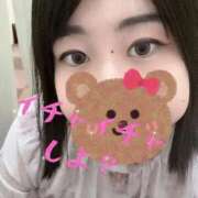 ヒメ日記 2025/11/08 07:12 投稿 しずく 白いぽっちゃりさん