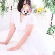 ヒメ日記 2025/11/13 11:06 投稿 しずく 白いぽっちゃりさん