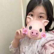 ヒメ日記 2025/11/14 15:12 投稿 しずく 白いぽっちゃりさん