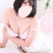 ヒメ日記 2025/11/24 08:42 投稿 しずく 白いぽっちゃりさん