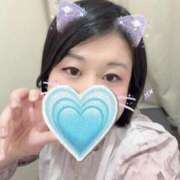 ヒメ日記 2025/11/27 07:32 投稿 しずく 白いぽっちゃりさん