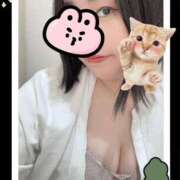 ヒメ日記 2025/12/29 13:13 投稿 しずく 白いぽっちゃりさん