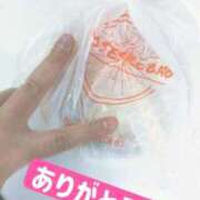 ヒメ日記 2025/12/30 08:42 投稿 しずく 白いぽっちゃりさん