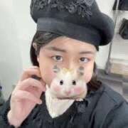 ヒメ日記 2026/01/02 14:13 投稿 しずく 白いぽっちゃりさん