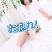 ヒメ日記 2026/01/07 17:16 投稿 しずく 白いぽっちゃりさん