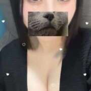 ヒメ日記 2025/11/12 14:43 投稿 ほむら ぷよステーション大宮店