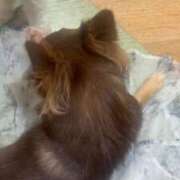 ヒメ日記 2025/11/24 07:04 投稿 たえ 濃厚即19妻