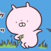 ヒメ日記 2025/12/18 10:54 投稿 まな スイカ