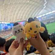 ヒメ日記 2026/03/19 19:30 投稿 まな スイカ