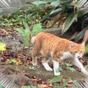 ヒメ日記 2025/10/24 11:59 投稿 青葉栞菜(あおばかんな) 九州熟女　熊本店