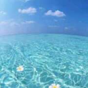 ヒメ日記 2025/11/20 17:41 投稿 綾瀬【アヤセ】 ピンクコレクション大阪