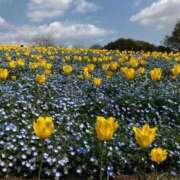 ヒメ日記 2025/10/24 20:30 投稿 綾瀬【アヤセ】 ピンクコレクション尼崎店