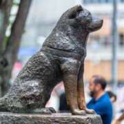 ヒメ日記 2025/11/05 07:49 投稿 水無瀬つきの FORTE