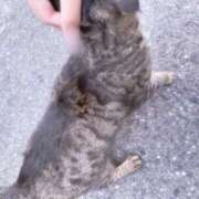 ヒメ日記 2025/12/09 12:30 投稿 水無瀬つきの FORTE