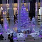 ヒメ日記 2025/12/12 07:49 投稿 水無瀬つきの FORTE