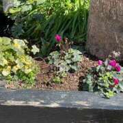 ヒメ日記 2026/03/09 11:50 投稿 ようこ Second Love（セカンドラブ）