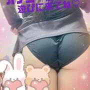 ヒメ日記 2026/03/16 08:01 投稿 ようこ Second Love（セカンドラブ）