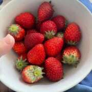 ヒメ日記 2026/03/23 08:01 投稿 ようこ Second Love（セカンドラブ）