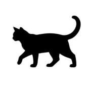 収容番号：77番 4/1収容されます🐈‍⬛🩵 非自由人躾専門店 淫姦収容所 日本橋本拠地