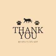 収容番号：77番 本日21時収容されます🚓🐈‍⬛ 非自由人躾専門店 淫姦収容所 日本橋本拠地