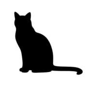 収容番号：77番 6/27 21時から🐈‍⬛🩵 非自由人躾専門店 淫姦収容所 日本橋本拠地