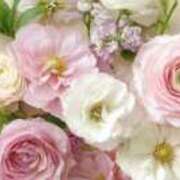 ヒメ日記 2025/12/17 17:49 投稿 あんな 奥様電車