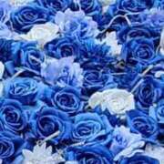 ヒメ日記 2025/11/29 19:55 投稿 はづき 厚木人妻城