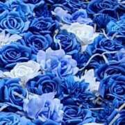 ヒメ日記 2025/12/16 14:58 投稿 はづき 厚木人妻城