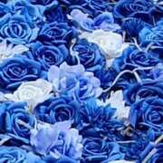 ヒメ日記 2026/02/13 13:51 投稿 はづき 厚木人妻城