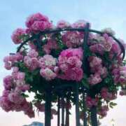 ヒメ日記 2025/12/30 08:25 投稿 りんね 熟女家 京橋店