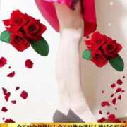 ヒメ日記 2026/02/18 17:16 投稿 りんね 熟女家 京橋店