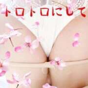 ヒメ日記 2026/03/30 08:08 投稿 りんね 熟女家 京橋店