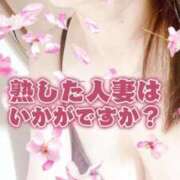 ヒメ日記 2026/03/30 16:04 投稿 りんね 熟女家 京橋店